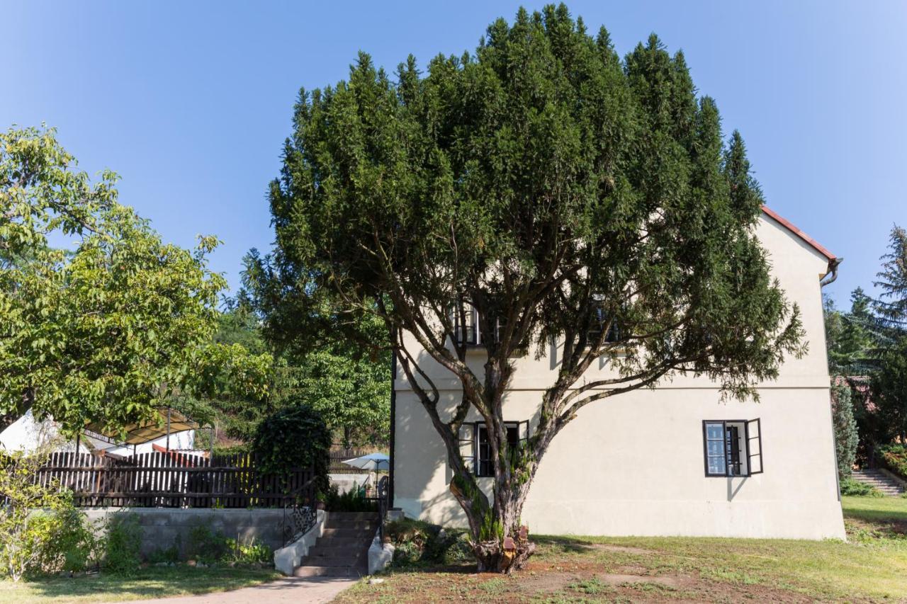 פראג Widtman Apartment מראה חיצוני תמונה