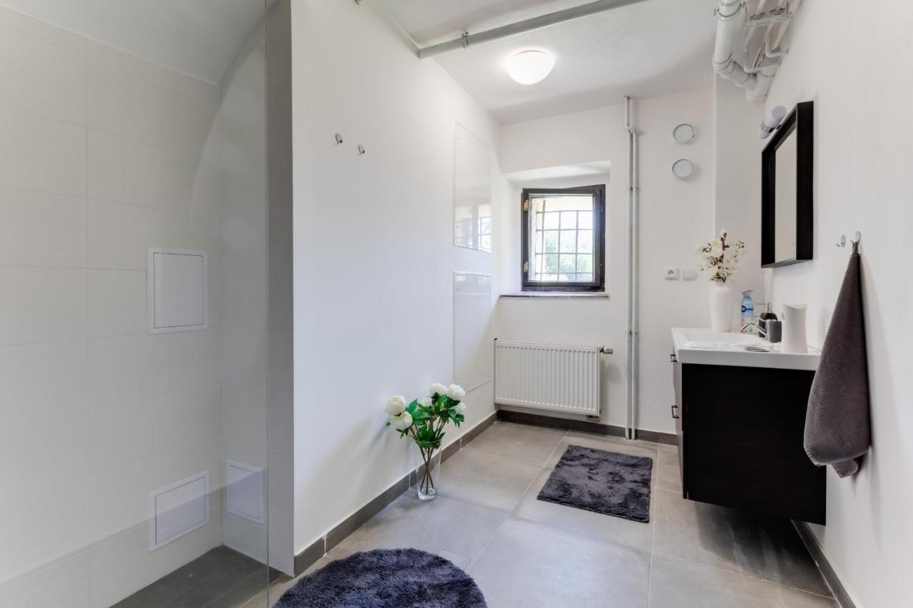 פראג Widtman Apartment מראה חיצוני תמונה